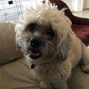 Meet your Posher, Katherine